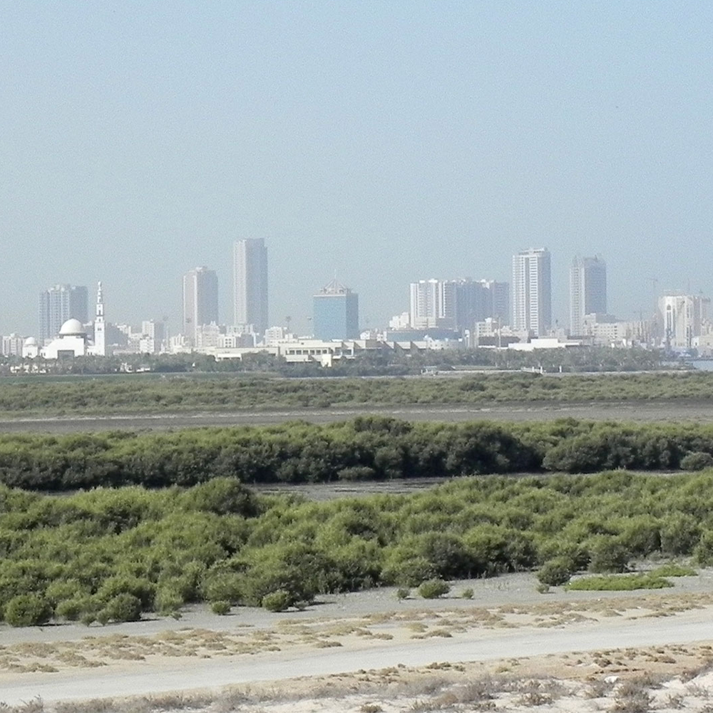 Emirate-5